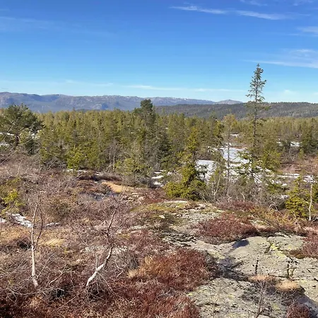 Stunning In Nissedal With Sauna * Kyrkjebygdi