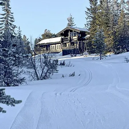 Дом отдыха Stunning In Nissedal With Sauna Kyrkjebygdi
