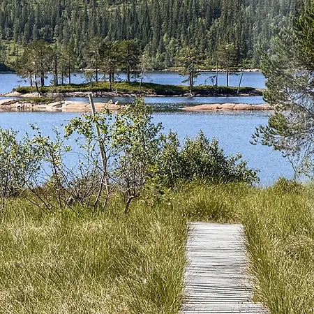 Stunning In Nissedal With Sauna Holiday home Kyrkjebygdi