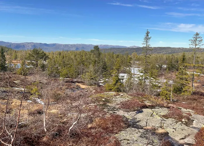Stunning In Nissedal With Sauna * Kyrkjebygdi